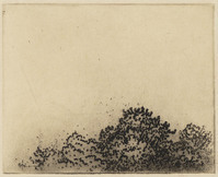KG 18216
<br/>
Struiken
<br/>
<em>Nachenius, Jan Coenraad (1890-1987)</em>